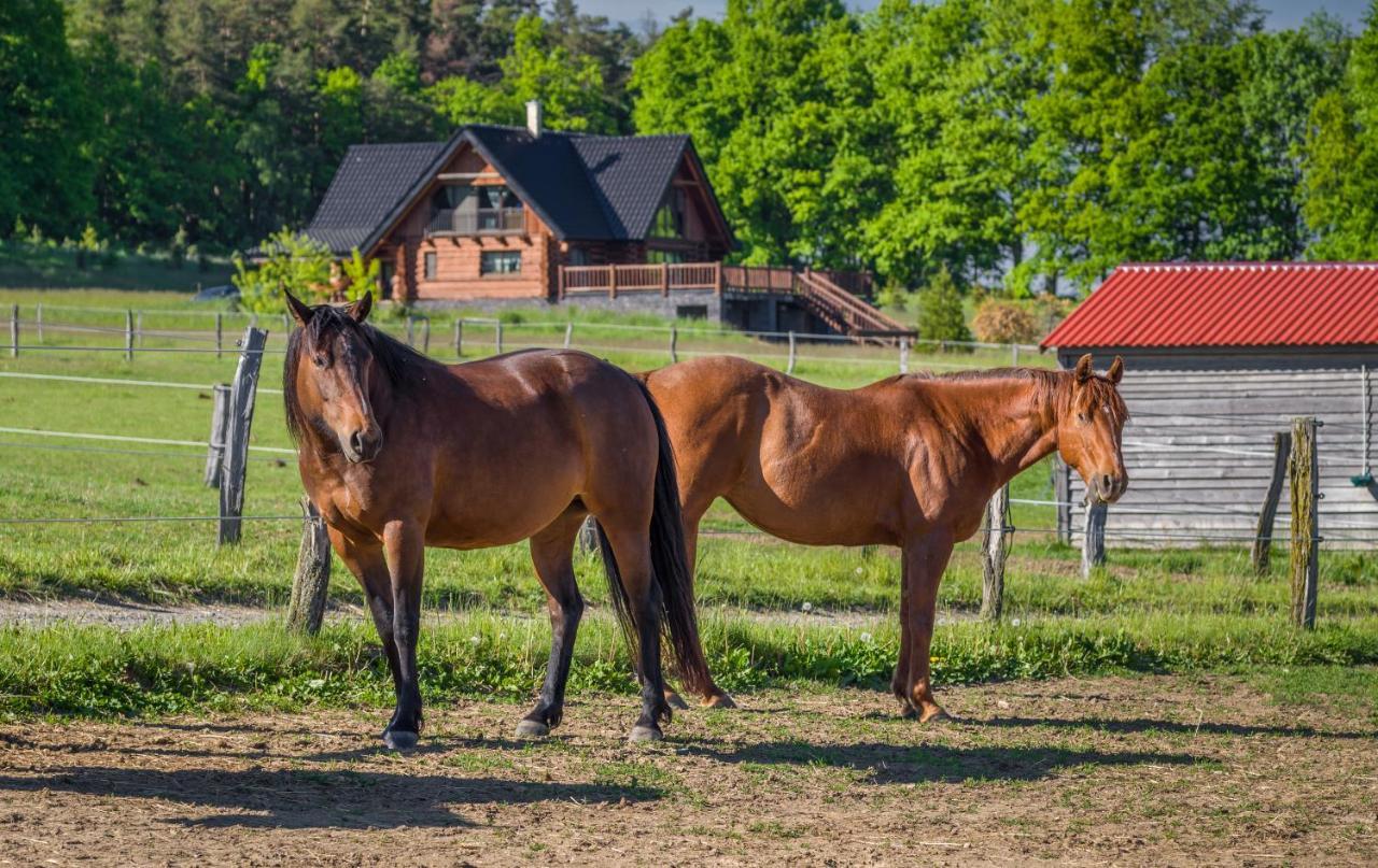 Ranch Jestrebice Hotel Hermanicky Kültér fotó